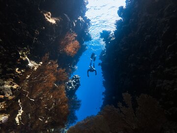 Tech Sidemount